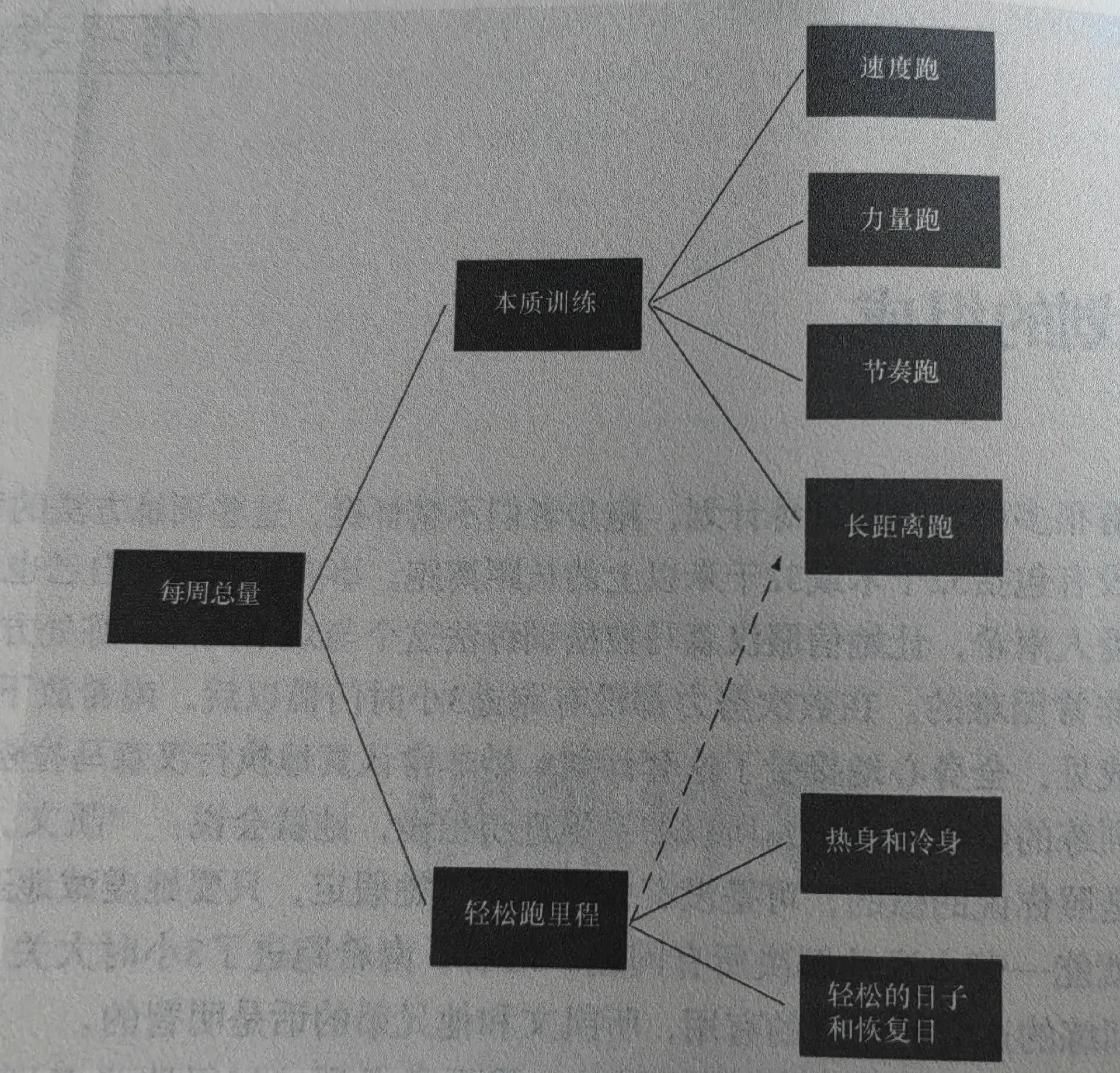 -关于《【训练秘籍】职业选手的日常训练计划全面揭秘》的信息