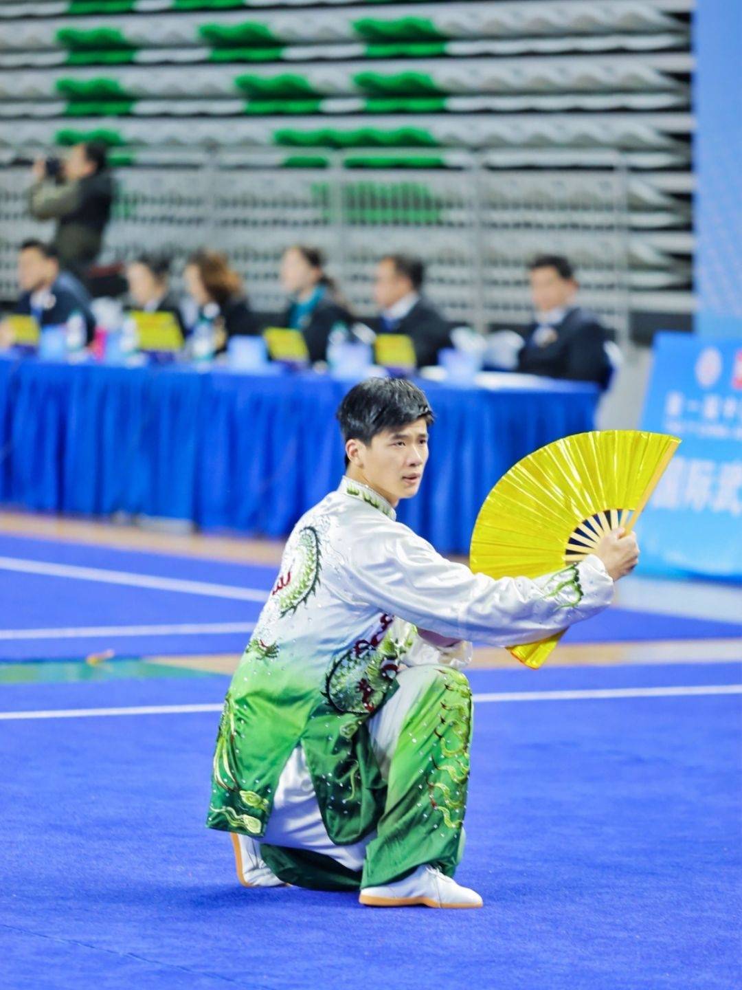 关于全国青少年武术比赛，传承文化彰显力量的信息