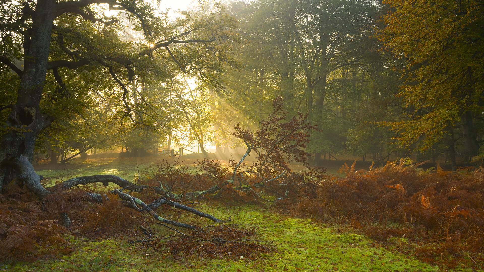 上港客场作战,力争三分反超积分榜领头羊