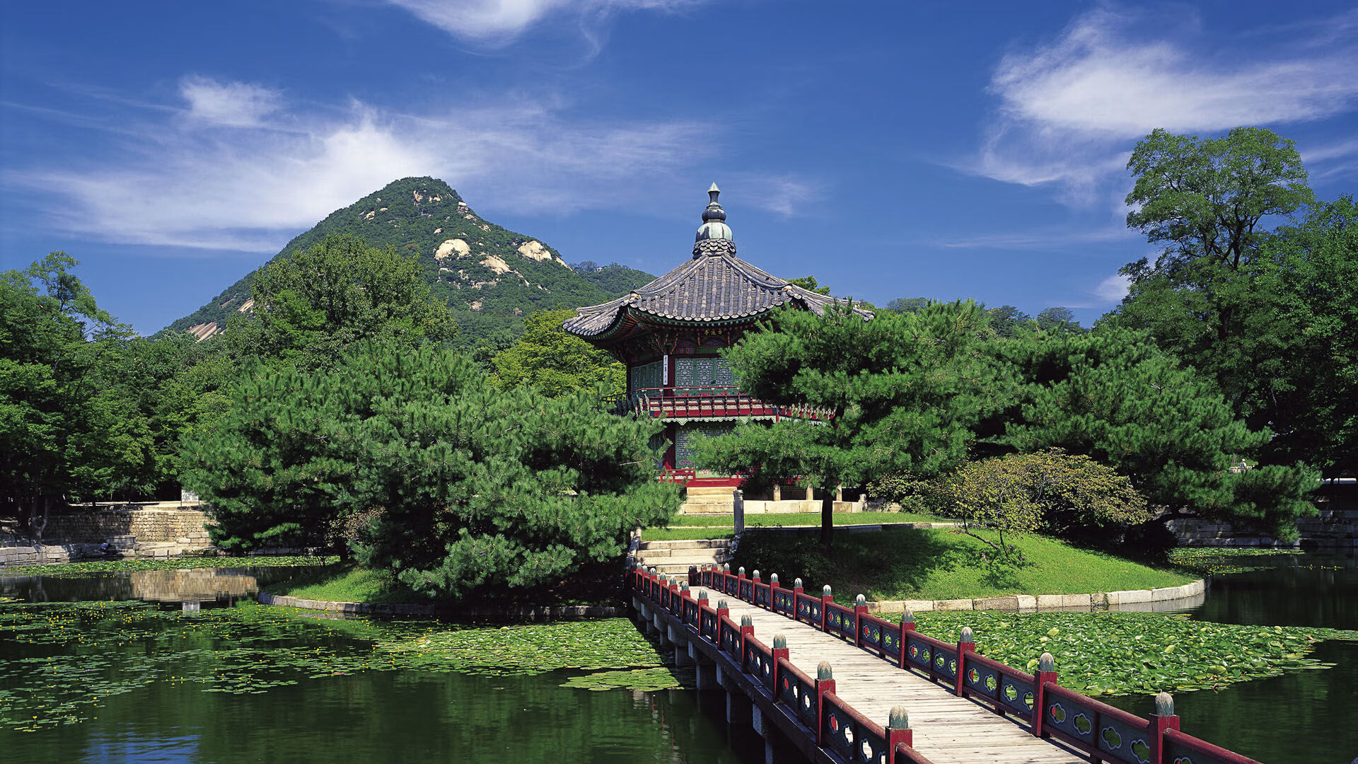 爱游戏下载-石油人球员状态持续回升，石油人球员状态持续回升的原因