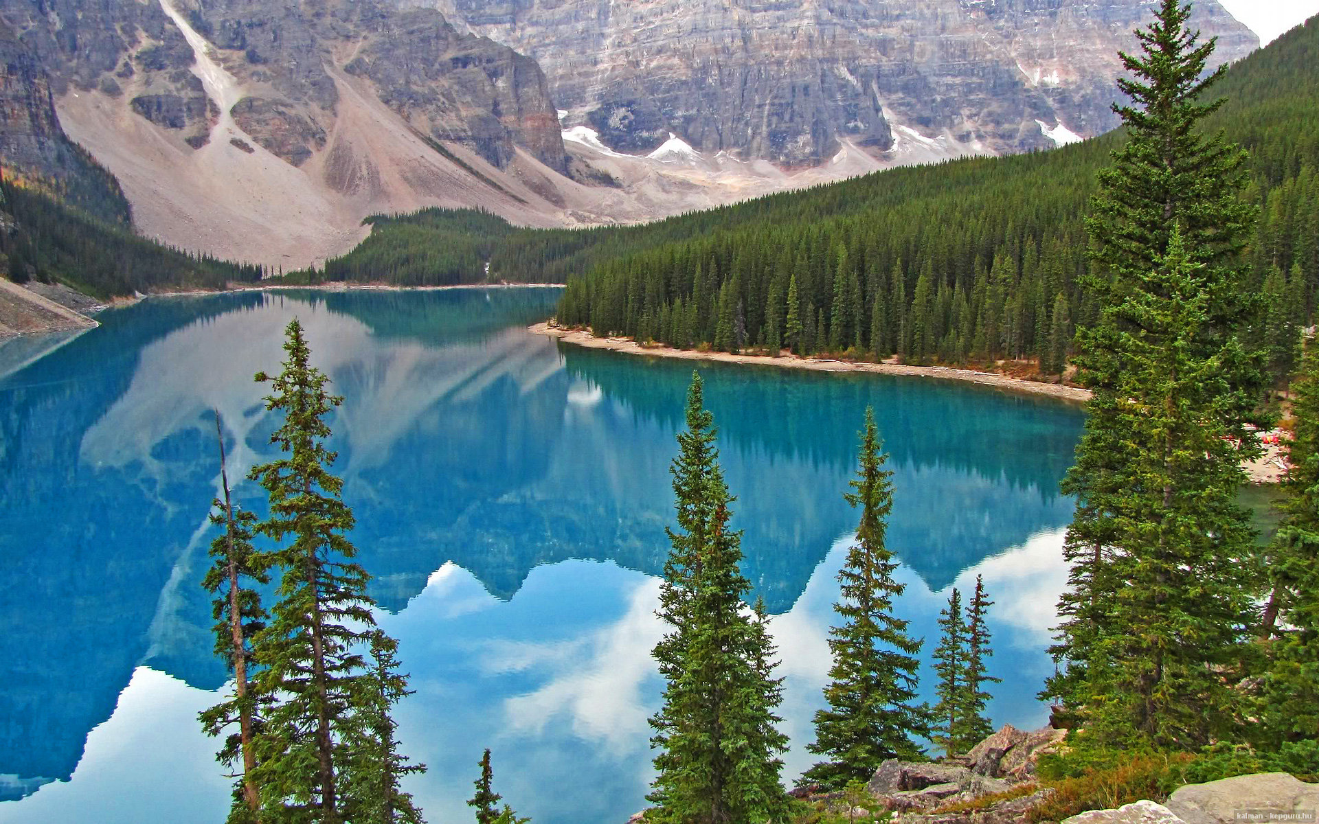 葡萄牙队在比赛场上展现出强劲的实力,葡萄牙队很强