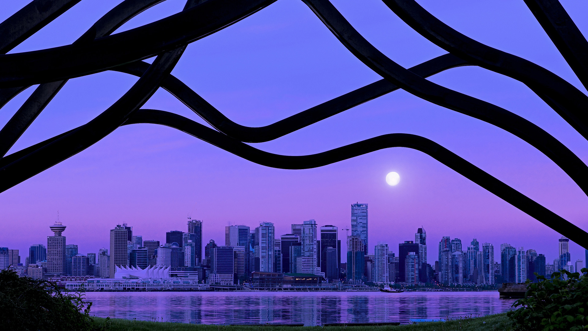 阿根廷球队在南美洲锦标赛上夺冠，全队欢呼，南美足球阿根廷