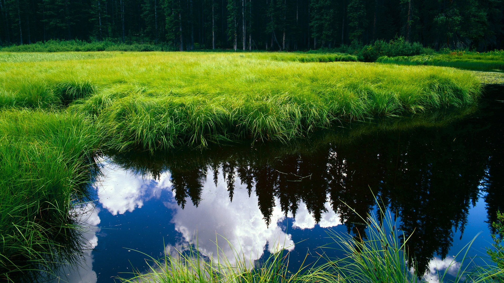 世界马球NBA挑战赛中国选手瞩目亮相，马球比赛规则
