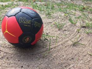 爱游戏APP-安提瓜和巴布达在中美洲锦标赛中夺冠，体育实力不断崛起