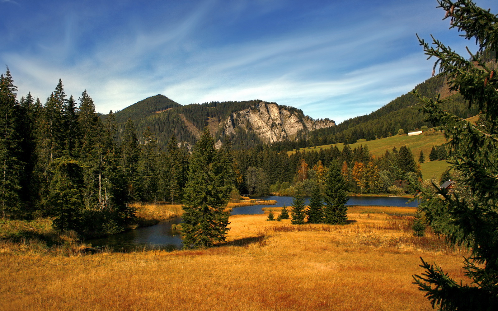 里根·史密斯稳步提升成绩赢得喝彩,史密斯雷根